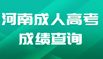 河南成人高考成績查詢