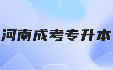 2024年河南成考專升本政治復習策略